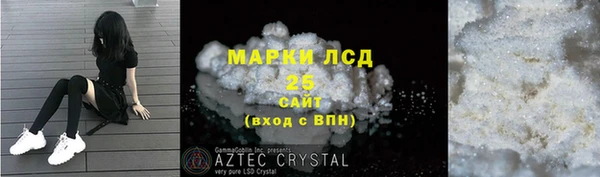 СК Пересвет