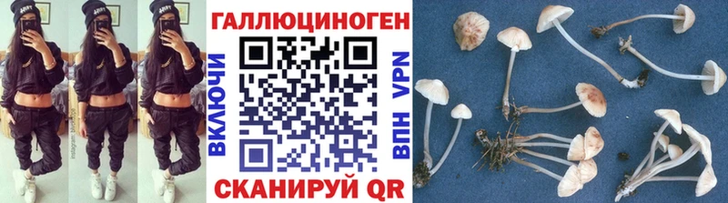 мега зеркало Кимры Галлюциногенные грибы мицелий